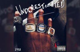 Z-FLO underestimated header