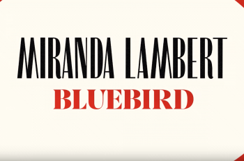 Screen Shot 2019-08-20 at 11.44.13 PM