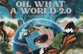 Screen Shot 2020-04-23 at 12.46.50 AM