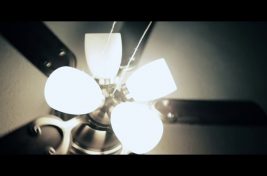 hippie shrnin old wiz flow