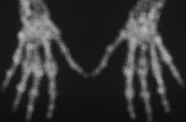 Screen Shot 2021-10-18 at 8.14.30 PM