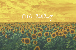 Screen Shot 2021-12-15 at 12.08.53 AM